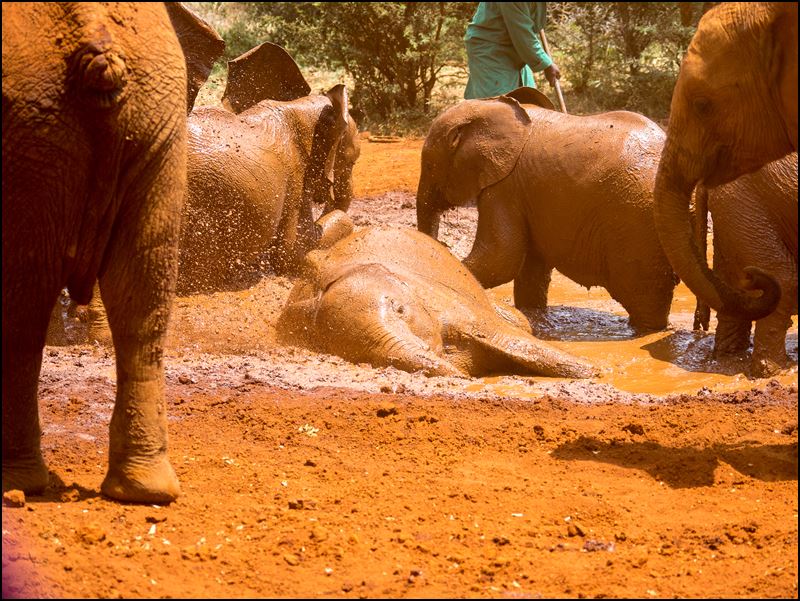 https://www.comol.li/Afrika_2017/2017-01-29_11-56-23_Kenya-Claudio-Picco-Comolli-Olympus-E-M5MarkII-.jpg
