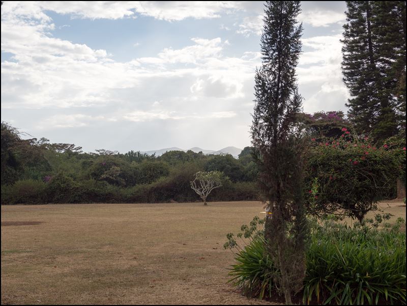 https://www.comol.li/Afrika_2017/2017-01-29_17-10-13_Kenya-Claudio-Picco-Comolli-Olympus-E-M5MarkII-.jpg