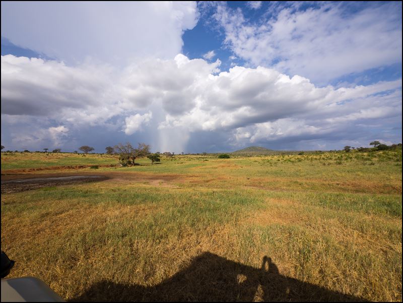 https://www.comol.li/Afrika_2017/2017-01-31_16-51-34_Kenya-Claudio-Picco-Comolli-Olympus-E-M10-.jpg
