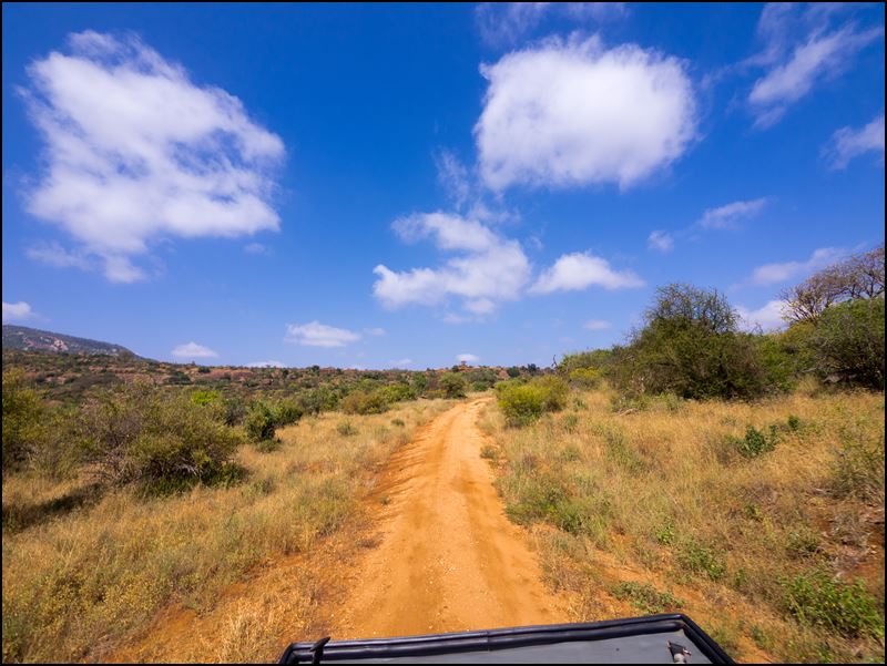 https://www.comol.li/Afrika_2017/2017-02-01_10-37-58_Kenya-Claudio-Picco-Comolli-Olympus-E-M10-.jpg