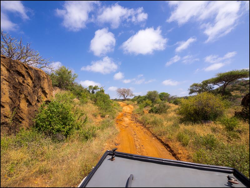 https://www.comol.li/Afrika_2017/2017-02-01_10-40-59_Kenya-Claudio-Picco-Comolli-Olympus-E-M10-.jpg