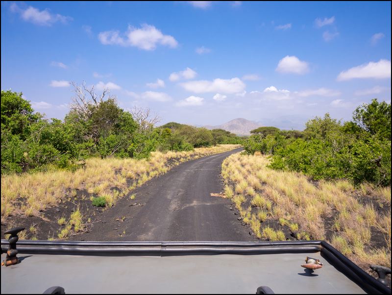 https://www.comol.li/Afrika_2017/2017-02-01_10-51-20_Kenya-Claudio-Picco-Comolli-Olympus-E-M10-.jpg
