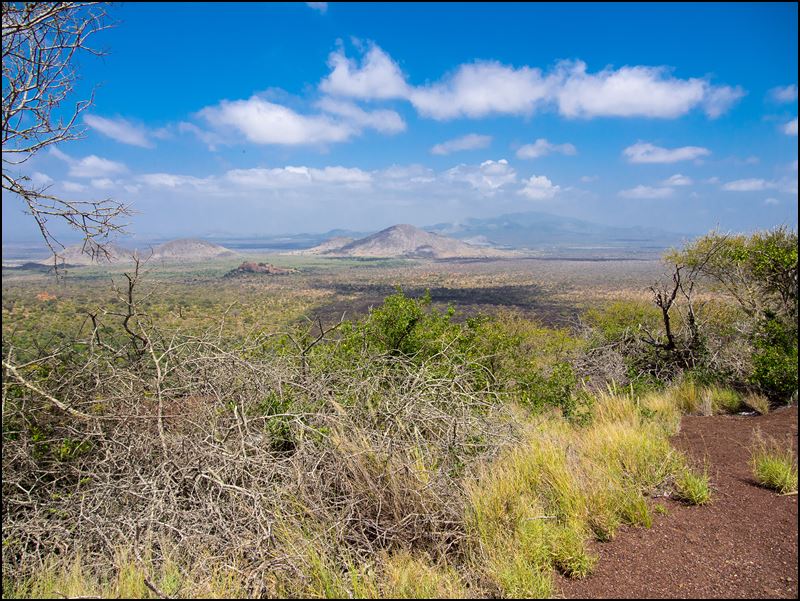 https://www.comol.li/Afrika_2017/2017-02-01_11-07-59_Kenya-Claudio-Picco-Comolli-Olympus-E-M5-.jpg