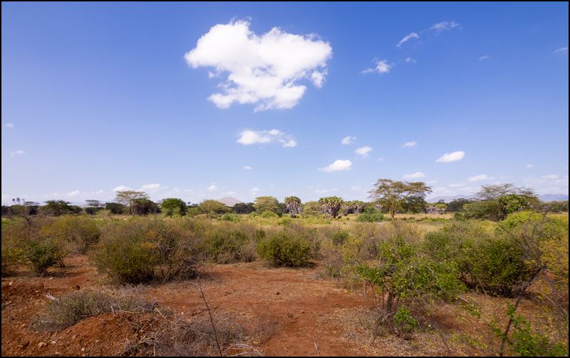 https://www.comol.li/Afrika_2017/2017-02-01_15-04-19_Kenya-Claudio-Picco-Comolli-Olympus-E-M10-.jpg