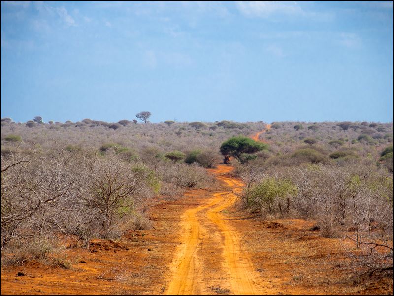 https://www.comol.li/Afrika_2017/2017-02-01_15-46-01_Kenya-Claudio-Picco-Comolli-Olympus-E-M5-.jpg