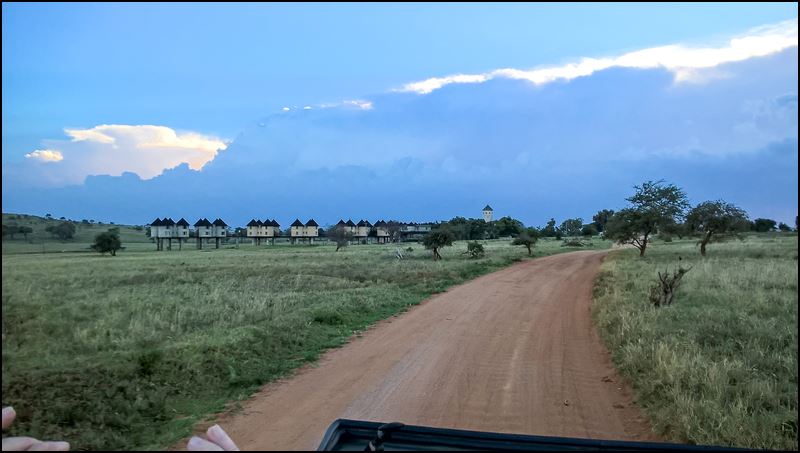 https://www.comol.li/Afrika_2017/2017-02-01_18-07-23_Kenya-Claudio-Picco-Comolli-Lumia%20640%20Dual%20SIM-.jpg