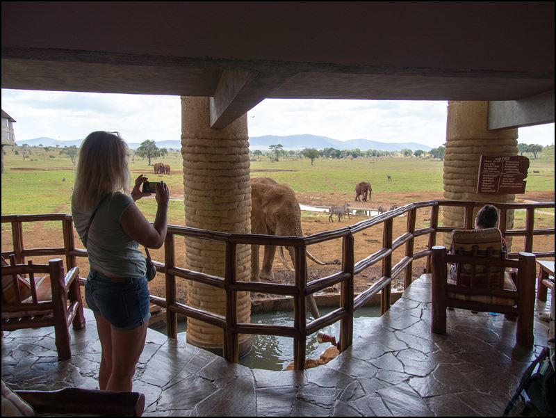 https://www.comol.li/Afrika_2017/2017-02-02_11-42-07_Kenya-Claudio-Picco-Comolli-Olympus-E-M5-.jpg