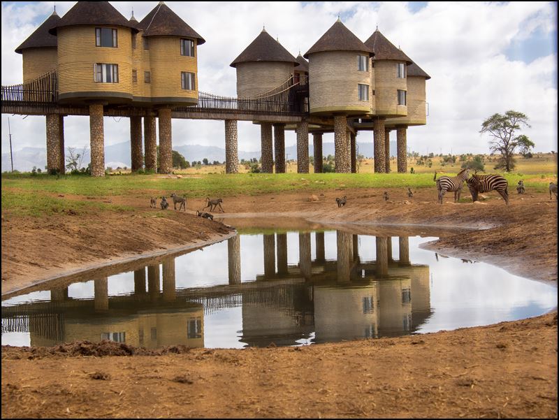 https://www.comol.li/Afrika_2017/2017-02-02_12-14-15_Kenya-Claudio-Picco-Comolli-Olympus-E-M5-.jpg