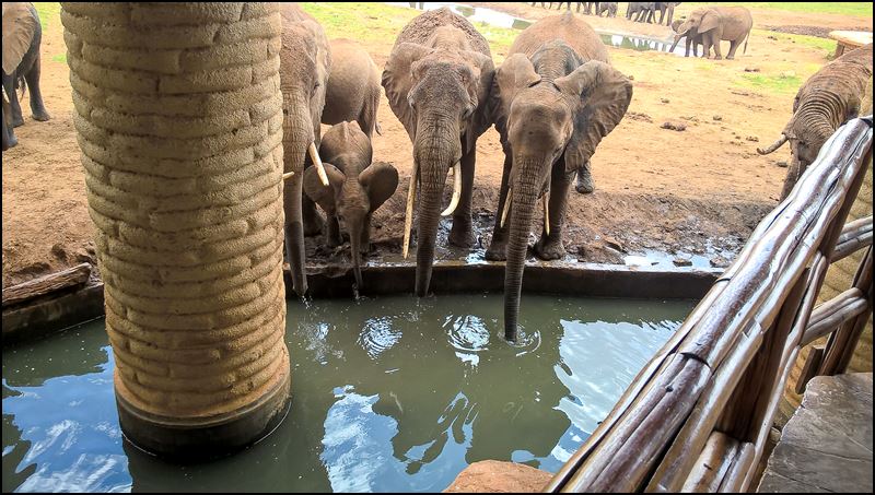https://www.comol.li/Afrika_2017/2017-02-02_12-37-01_Kenya-Claudio-Picco-Comolli-Lumia%20640%20Dual%20SIM-.jpg