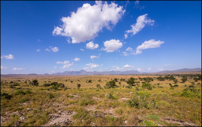 https://www.comol.li/Afrika_2017/2017-02-02_16-18-08_Kenya-Claudio-Picco-Comolli-Olympus-E-M10-.jpg