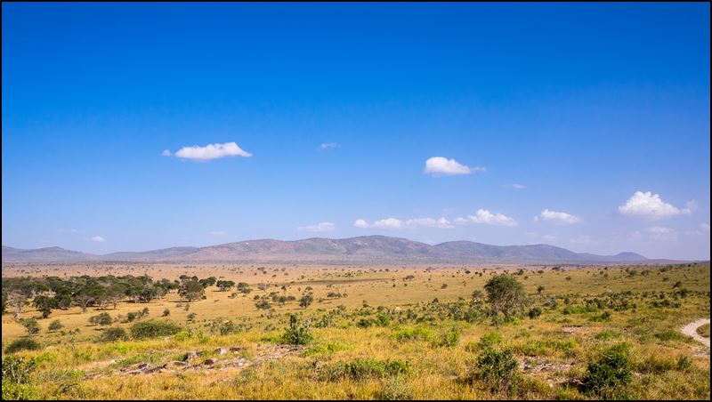 https://www.comol.li/Afrika_2017/2017-02-02_16-18-56_Kenya-Claudio-Picco-Comolli-Olympus-E-M10-.jpg