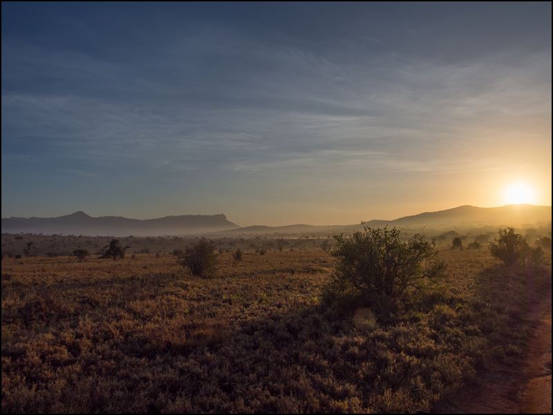 https://www.comol.li/Afrika_2017/2017-02-03_06-50-31_Kenya-Claudio-Picco-Comolli-Olympus-E-M5-.jpg