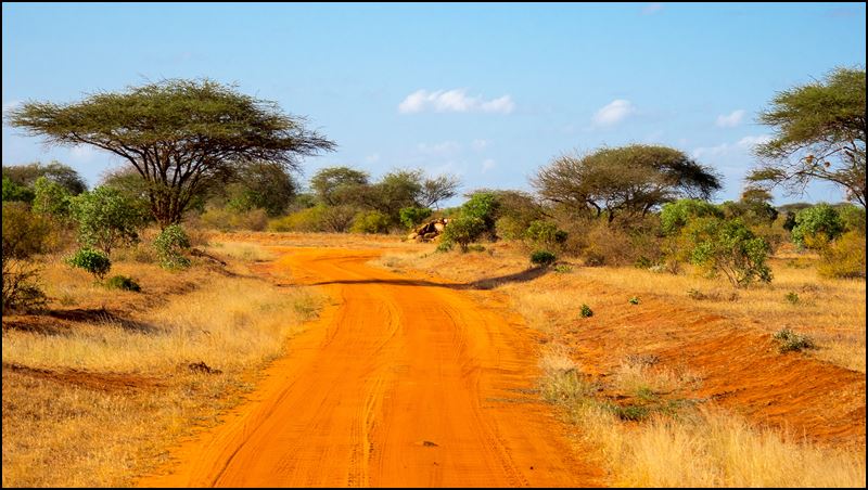 https://www.comol.li/Afrika_2017/2017-02-03_16-52-30_Kenya-Claudio-Picco-Comolli-Olympus-E-M5-.jpg