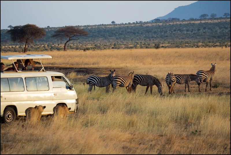 https://www.comol.li/Afrika_2017/2017-02-03_18-26-03_Kenya-Claudio-Picco-Comolli-Olympus-E-M5MarkII-.jpg