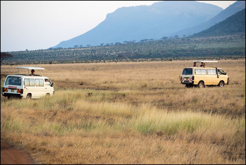 https://www.comol.li/Afrika_2017/2017-02-03_18-34-39_Kenya-Claudio-Picco-Comolli-Olympus-E-M5MarkII-.jpg