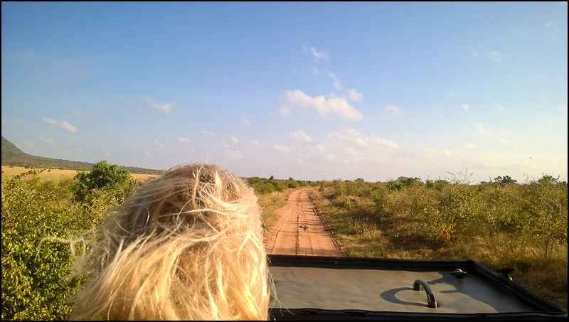 https://www.comol.li/Afrika_2017/2017-02-05_08-02-47_Kenya-Claudio-Picco-Comolli-Lumia%20640%20Dual%20SIM-.jpg