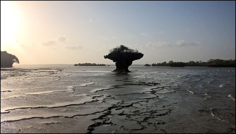 https://www.comol.li/Afrika_2017/2017-02-07_18-46-53_Kenya-Claudio-Picco-Comolli-Lumia%20640%20Dual%20SIM-.jpg